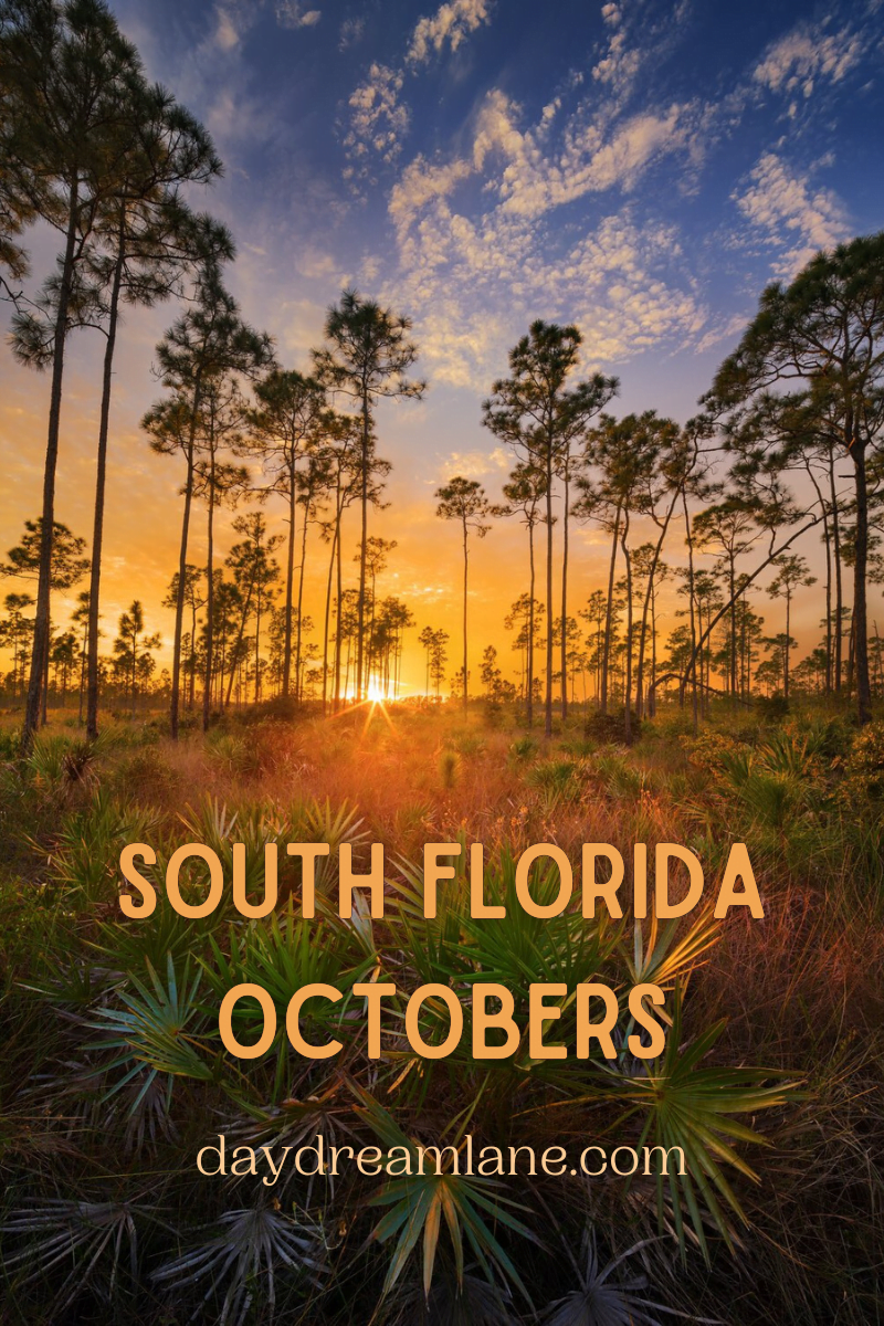 South Florida Octobers